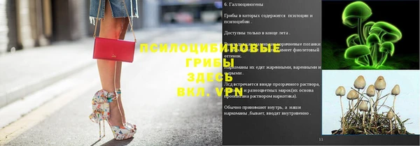 2c-b Бронницы