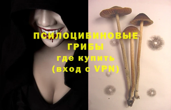 эйфоретик Бугульма