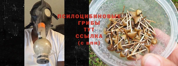 скорость Бородино