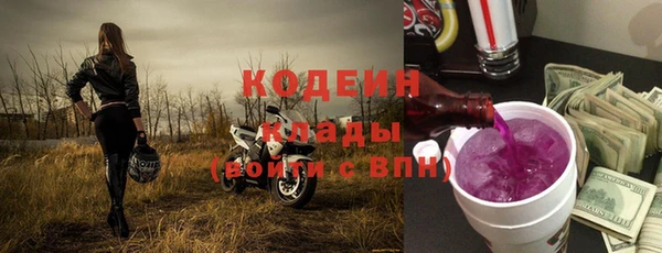 скорость Бородино
