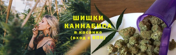 2c-b Бронницы