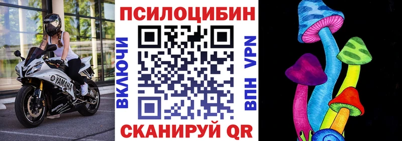 где найти   Ангарск  Галлюциногенные грибы мицелий 