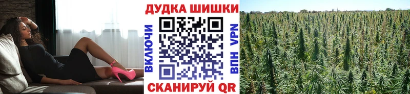 Каннабис OG Kush  Ангарск 